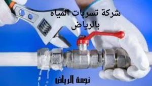 افضل شركة كشف تسربات المياه بالرياض